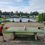 Goudvink 547 De Ijsvogel Veluwe 福尔特赫伊曾