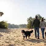 Goudvink 547 De Ijsvogel Veluwe 木屋 *