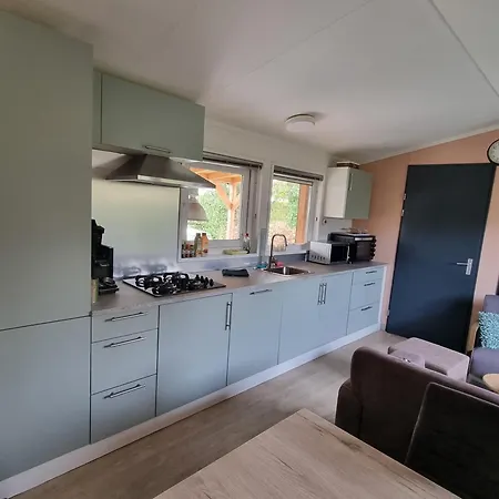 Chalet Goudvink 547 De Ijsvogel Veluwe