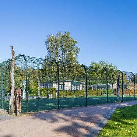 Goudvink 547 De Ijsvogel Veluwe Voorthuizen