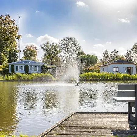Goudvink 547 De Ijsvogel Veluwe Chalet *