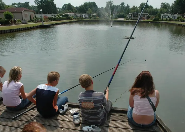 Chalet Goudvink 547 De Ijsvogel Veluwe