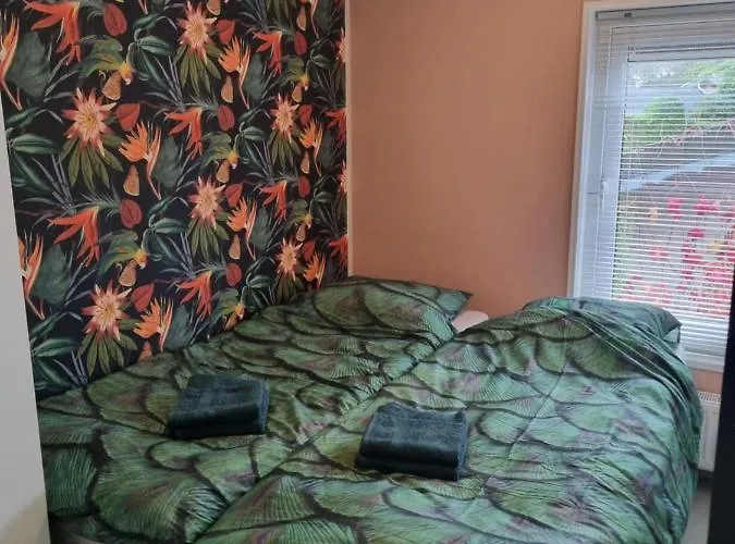 Goudvink 547 De Ijsvogel Veluwe *