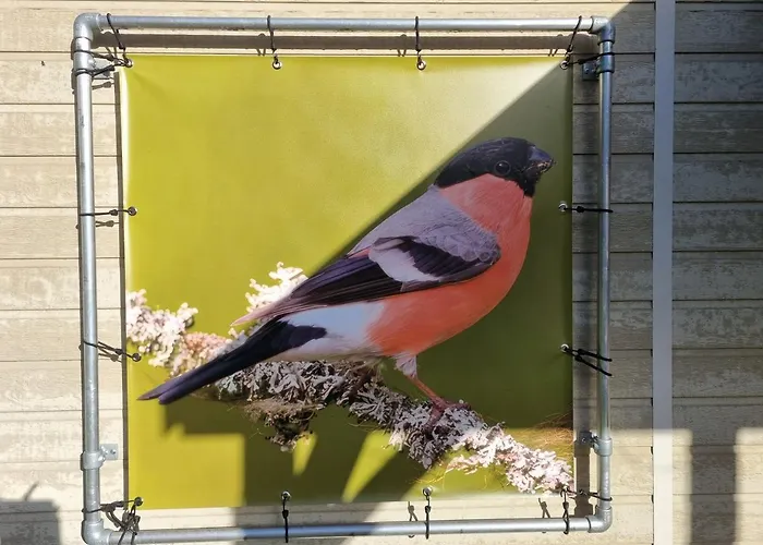 Goudvink 547 De Ijsvogel Veluwe Chalet