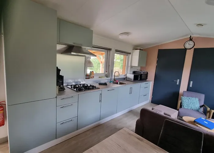 Chalet Goudvink 547 De Ijsvogel Veluwe