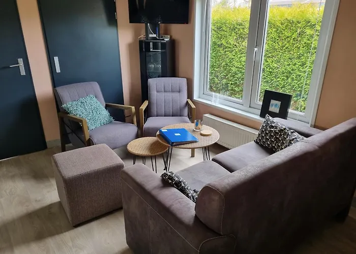 Chalet Goudvink 547 De Ijsvogel Veluwe *