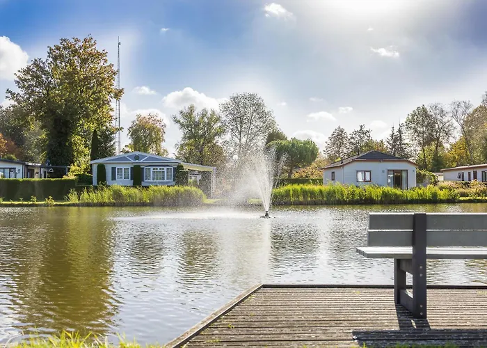Goudvink 547 De Ijsvogel Veluwe Chalet *