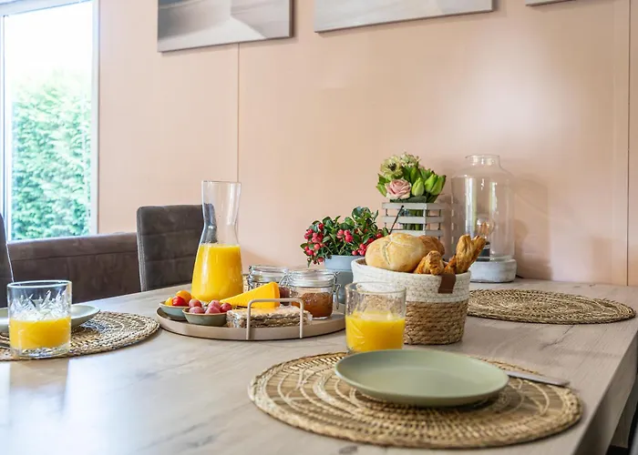 Chalet Goudvink 547 De Ijsvogel Veluwe *