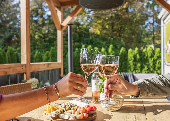 Chalet Goudvink 547 De Ijsvogel Veluwe *