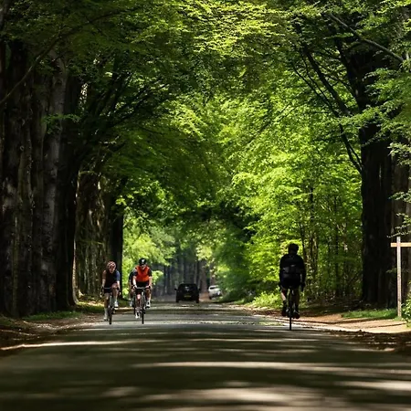Goudvink 547 De Ijsvogel Veluwe シャレー フォールトハイゼン