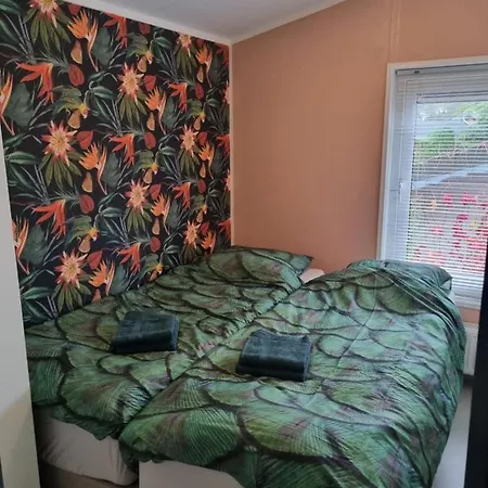 Goudvink 547 De Ijsvogel Veluwe *