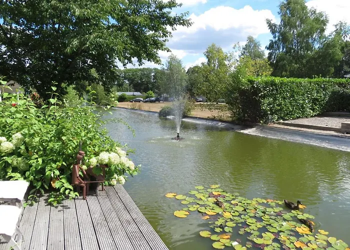 Goudvink 547 De Ijsvogel Veluwe Chalet