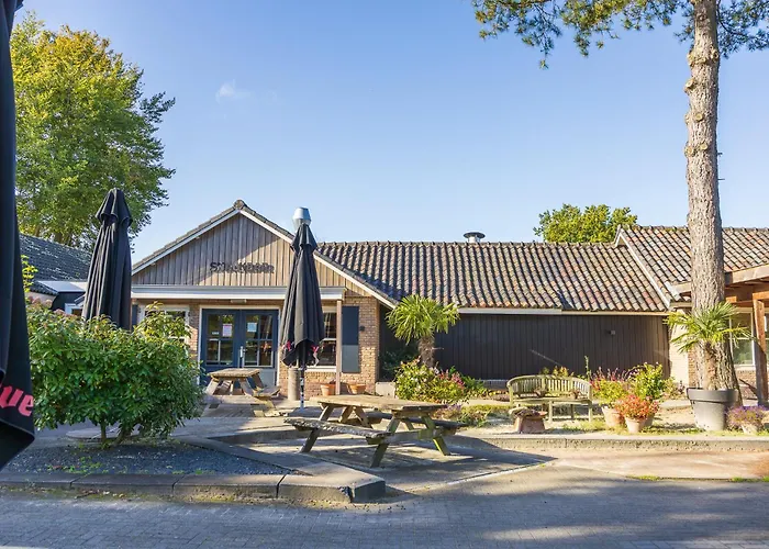 Chalet Goudvink 547 De Ijsvogel Veluwe *