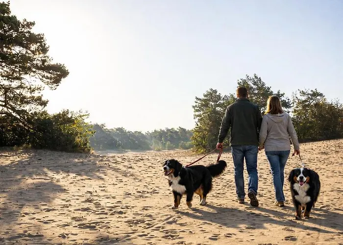 Goudvink 547 De Ijsvogel Veluwe Chalet *